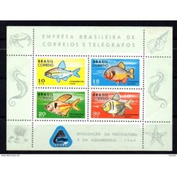 Hb23 brasil