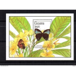Hb46 guyana