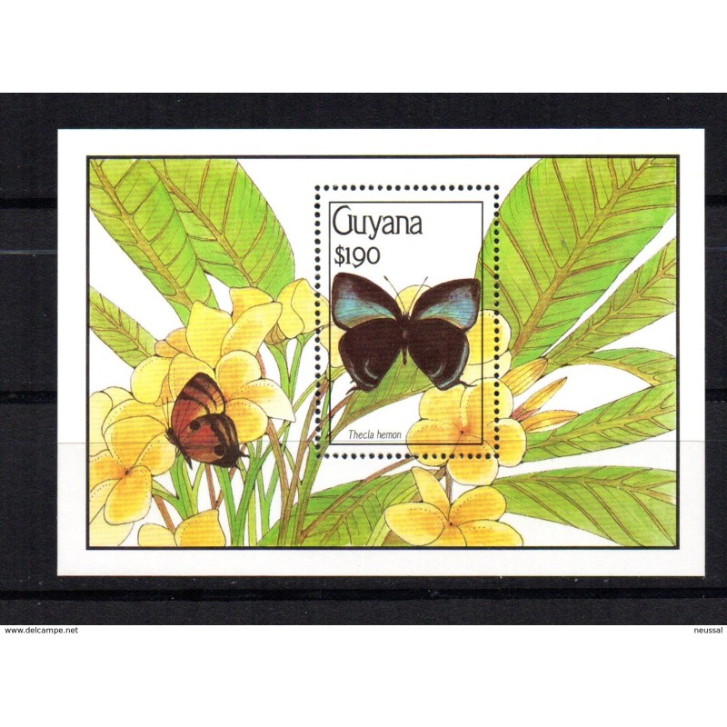 Hb46 guyana Hb46 guyana