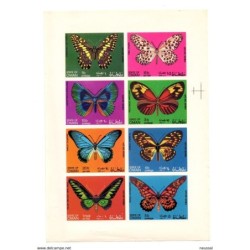 Hb sde oman butterfly