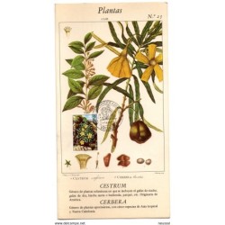 3 prospectos con matasellos commemorativo  iberflora de 1974 valencia