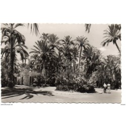 Tarjeta postal de elche  parque municipal