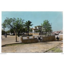 Tarjeta postal porcuna jaen