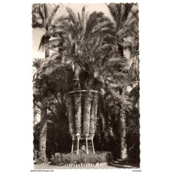 Tarjeta postal de  elche huerto del cura palmera imperial circulada