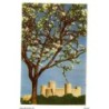 Tarjeta postal  mallorca  castillo de bellver