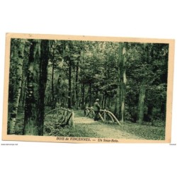 Tarjeta postal de bois de vincennes un sous bois circulada