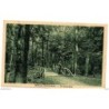 Tarjeta postal de bois de vincennes un sous bois circulada