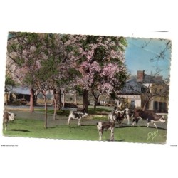 Tarjeta postal de normandie pommiers en fleurs et poiriers blancs