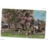 Tarjeta postal de normandie pommiers en fleurs et poiriers blancs