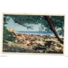 Tarjeta postal de ille st honorat