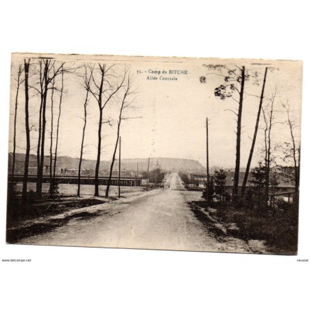 Tarjeta postal de camp de bitche allee centrale