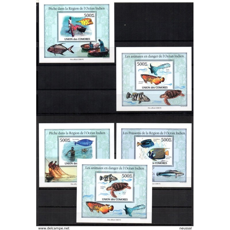 5 hb comores les poissons de la region de locean indien 5 hb comores les poissons de la region de locean indien