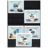 5 hb comores les poissons de la region de locean indien