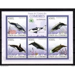 Serie de ballenas  comores