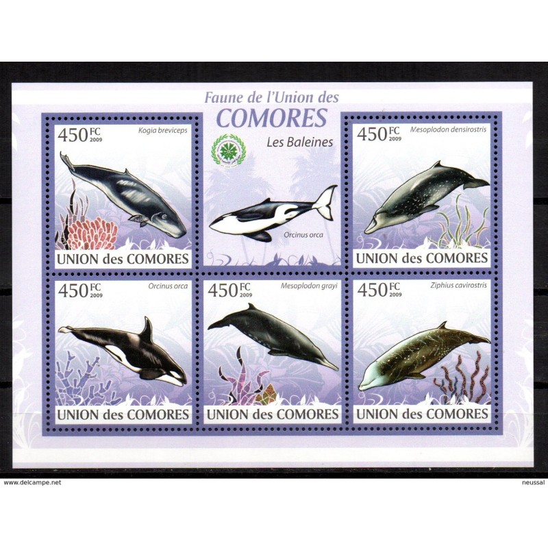 Serie de ballenas comores Serie de ballenas comores