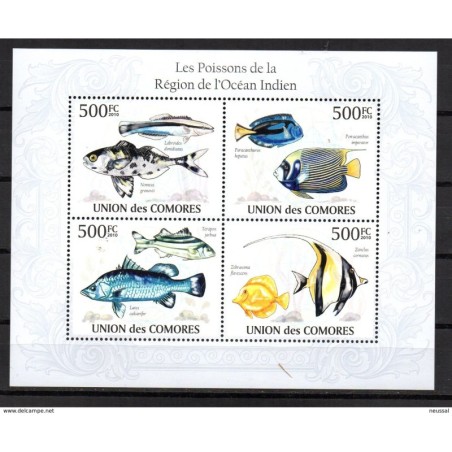 Serie en hb peces de comores 2010 fish