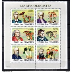 Serie en hb  de comores 2008 hongos
