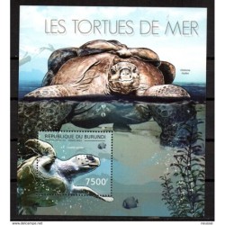 Hb de  burundi  tortuga