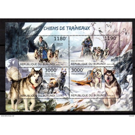 Serie   Burundi dogs