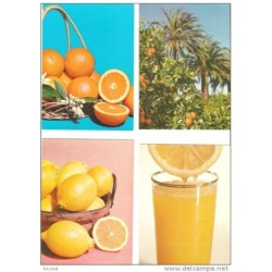 15 postales de naranjas