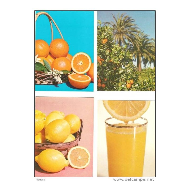15 postales de naranjas 15 postales de naranjas