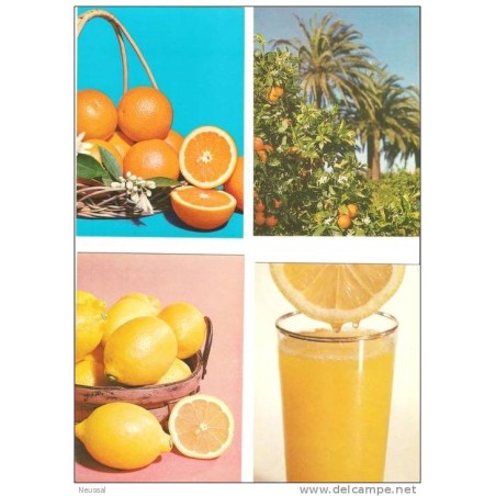 15 postales de naranjas