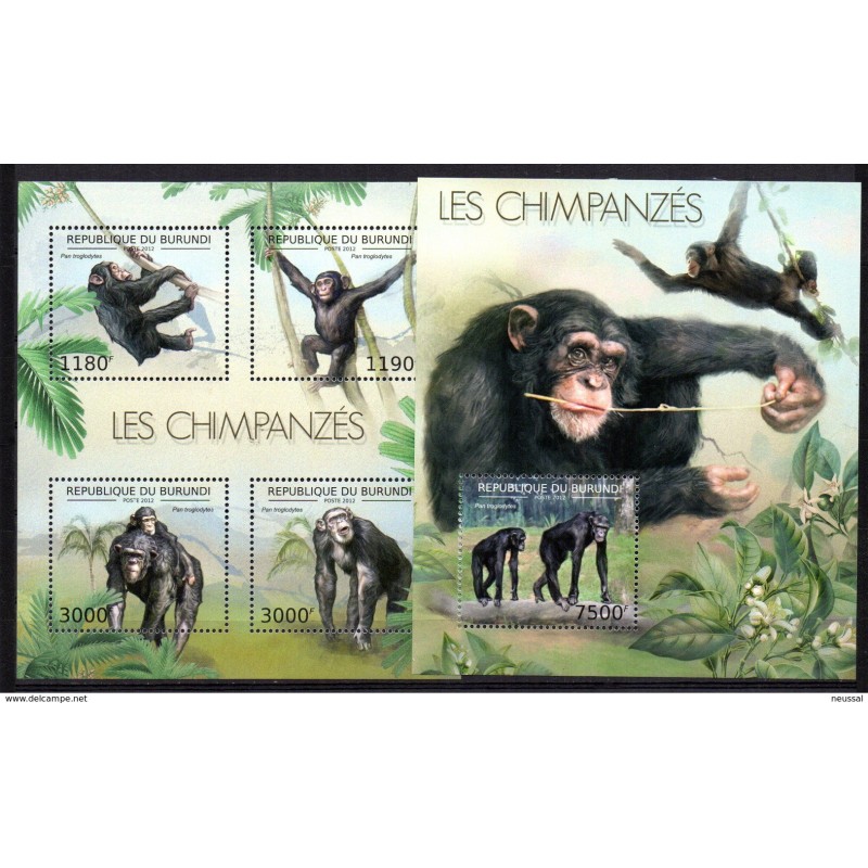 Serie de chimpances Hb chimpance de burundi 2012 Serie de chimpances Hb chimpance de burundi 2012