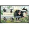 Serie de chimpances   Hb chimpance  de burundi 2012