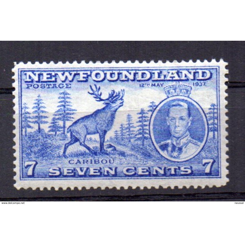 Sello n 210 newfoundland Sello n 210 newfoundland