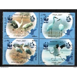 Serie de iran 2007