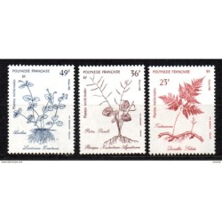 Serie n 3157 polinesia