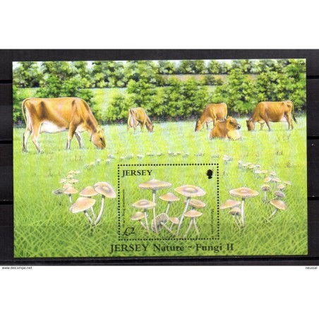 Hb64 Jersey