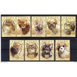 Serie  de cats  de zaire
