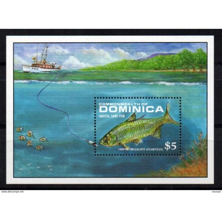 Hb 144 Dominica