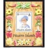 Hb12  pitcairn island
