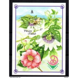 Hb19  pitcairn island