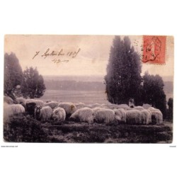 Tarjeta postal circulada de 1905 matasellos pontanlier