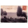 Tarjeta postal circulada de 1905 matasellos pontanlier