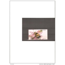 Carnet de azores insectos