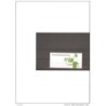 Carnet de azores profesiones tipicas