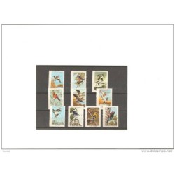 Serie de pajaros