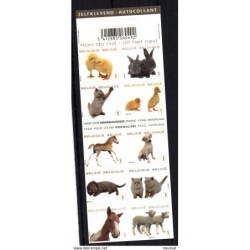 Carnet de animales Belgica