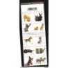 Carnet de animales Belgica
