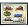Hb110  used  Lesotho