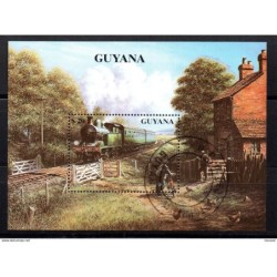 Hb  used  guyana