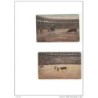 2 tarjetas postales toros