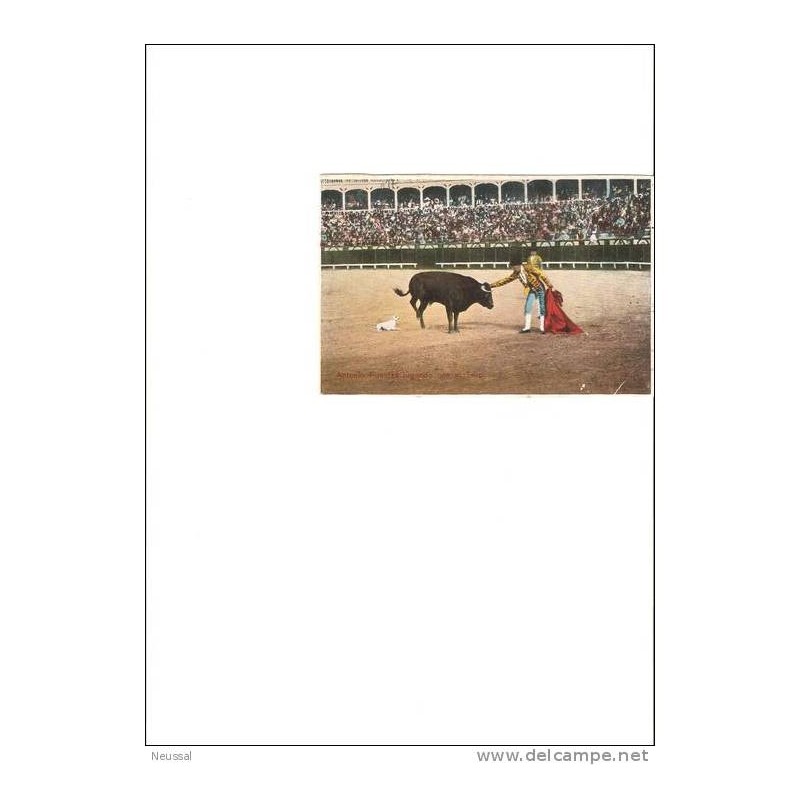 Tarjeta de antonio fuentes jugando con el toro circulada 1900 Tarjeta de antonio fuentes jugando con el toro circulada 1900