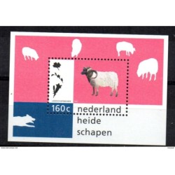 Hb51 holanda