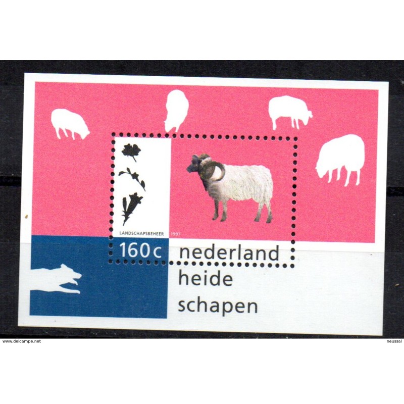 Hb51 holanda Hb51 holanda