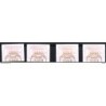 Serie timbres distributiers n 4B   Aland